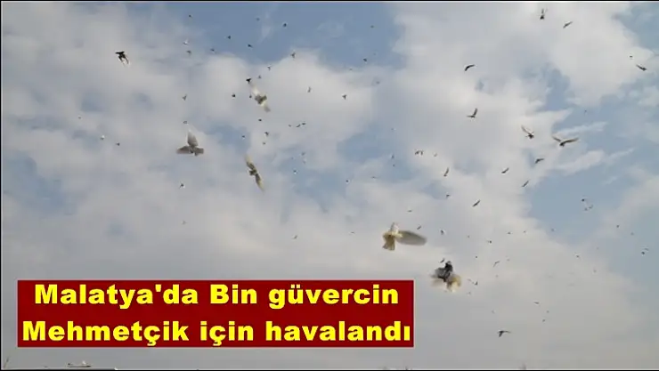 Malatya'da Bin güvercin  Mehmetçik için havalandı