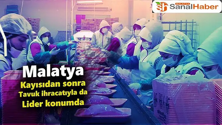 Malatya, kayısıdan sonra tavuk ihracatıyla da lider konumda