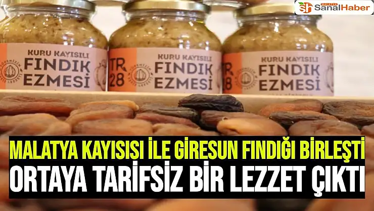 Malatya kayısısı ile Giresun fındığı birleşti ortaya tarifsiz bir lezzet çıktı