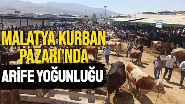 Malatya Kurban Pazarı´nda arife yoğunluğu