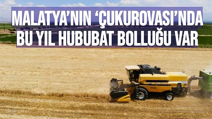 Malatya´nın `Çukurovası´nda bu yıl hububat bolluğu var