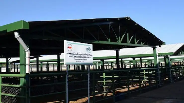 CANLI HAYVAN PAZARINA YATIRIM