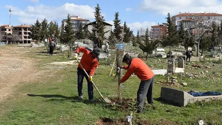 MEZARLIKLAR YEŞİLLENDİRİLİYOR