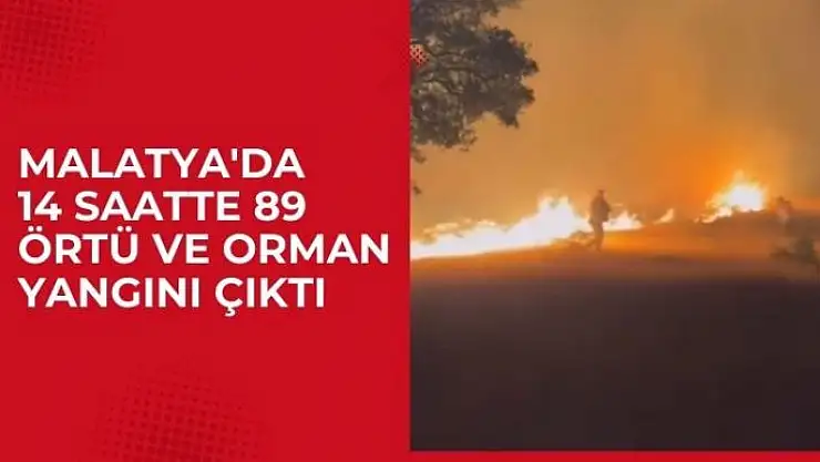 Malatyada 14 saatte 89 örtü ve orman yangını çıktı