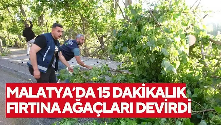 Malatyada 15 dakikalık fırtına ağaçları devirdi