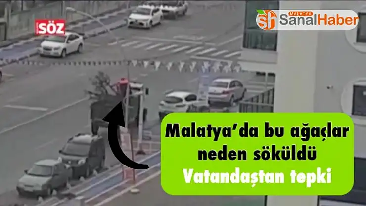Malatya´da bu ağaçlar neden söküldü Vatandaştan tepki