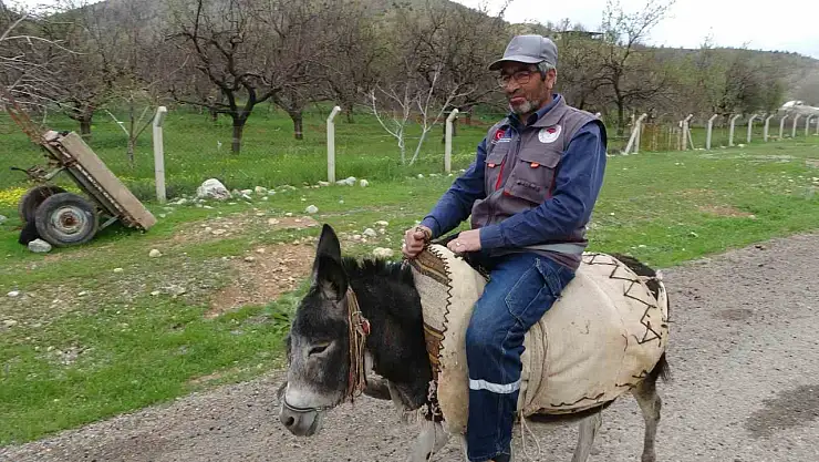 Malatya'da Eşekler Azalıyor