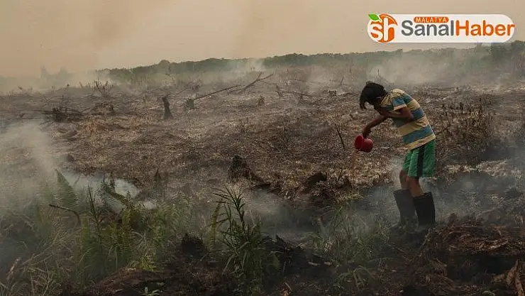 Malezya'da hava kirliliği nedeniyle 400'den fazla okul kapatıldı