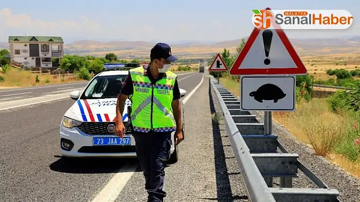 Mehmetçik, kaplumbağalar için görevde