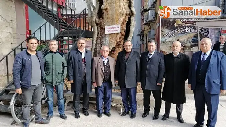 Milletvekili Fırat 400 yıllık anıt ağacı inceledi