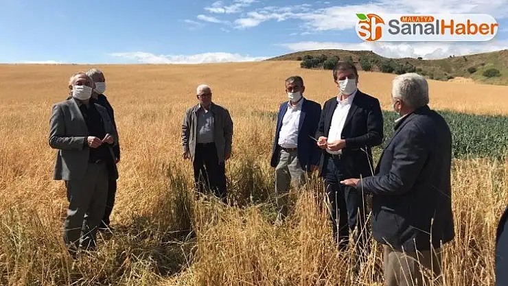 Milletvekili Tutdere: 'Dolu yağan yerler afet bölgesi ilan edilsin'