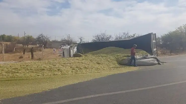 'Mısır silajı yüklü tır devrildi: 1 yaralı'