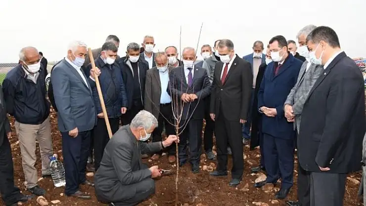 'Model bahçede badem fidanları toprakla buluşturuldu'