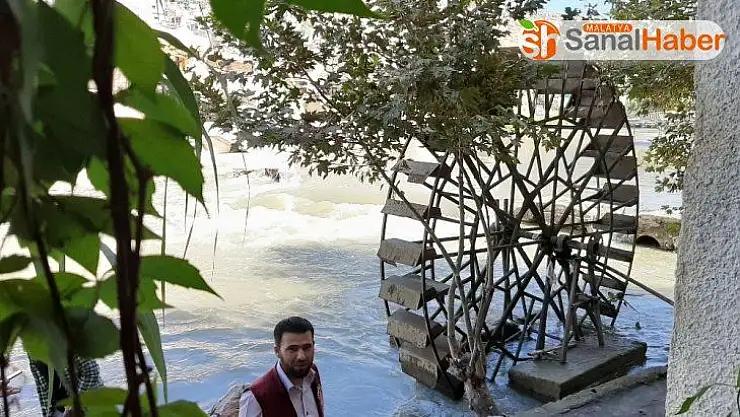 Nar festivalinde Suriyelilerden dünyaya barış mesajı