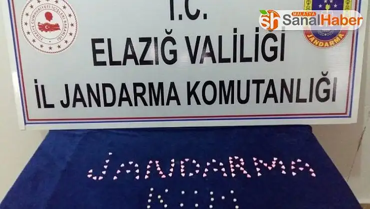 Narkotik köpeği tepki verdi, uyuşturucu ele geçirildi