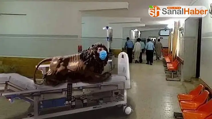 Necef Belediyesinden aslan heykeline ilişkin açıklama