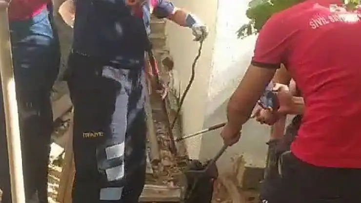 'Odunlukta görülen yılan korkuttu'
