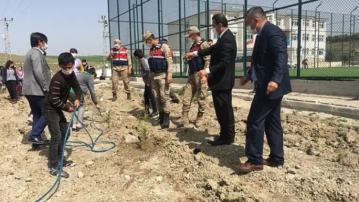 'Öğretmen ve öğrenciler fidan diktiler'