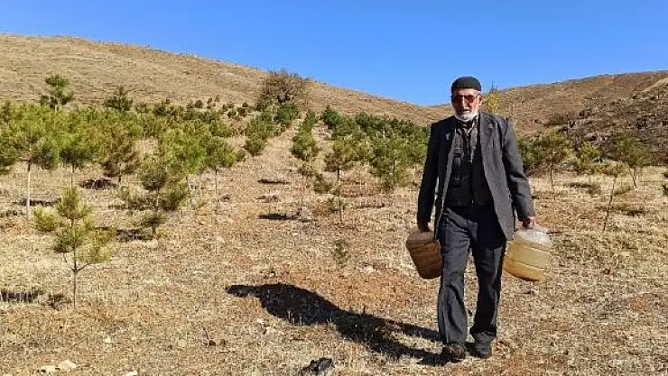 '`Orman Dede´, babadan kalma arazisini 11 yılda ormana dönüştürdü'
