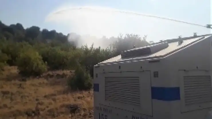 'Orman yangını kadınları korkuttu'