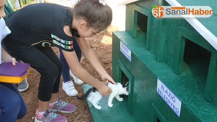 Örnek projeyle 'Kedi ve köpekler' okul bahçesinde