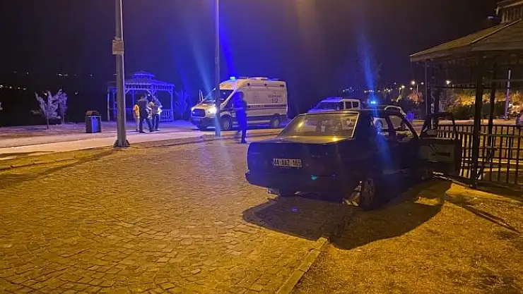 'Otomobil kamelyaya çarptı'