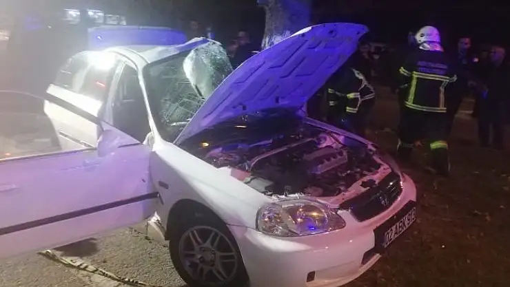'Otomobil refüjdeki ağaca çarptı: 2´si ağır 4 yaralı'