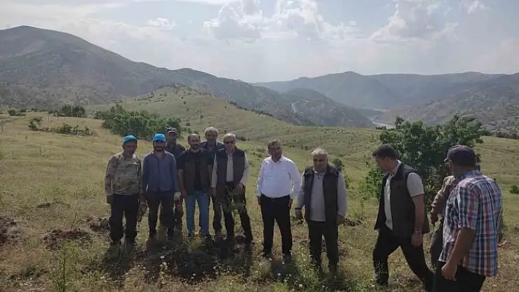 'Palu´daki bademler yöre halkına gelir kapısı olacak'