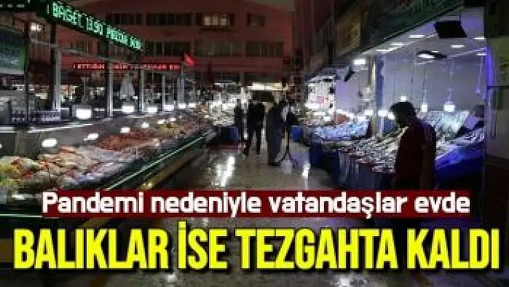 Pandemi nedeniyle vatandaşlar evde, balıklar ise tezgahta kaldı