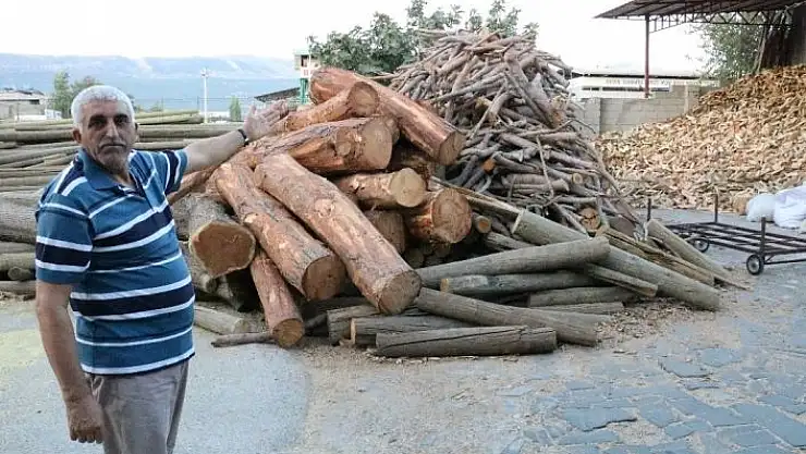 'Pandemi sürecinde odun ve kömür tüketimi arttı'