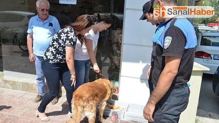 Polis, sokak hayvanlarını unutmadı