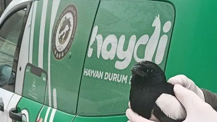 'Polisten kargaya şefkat eli'