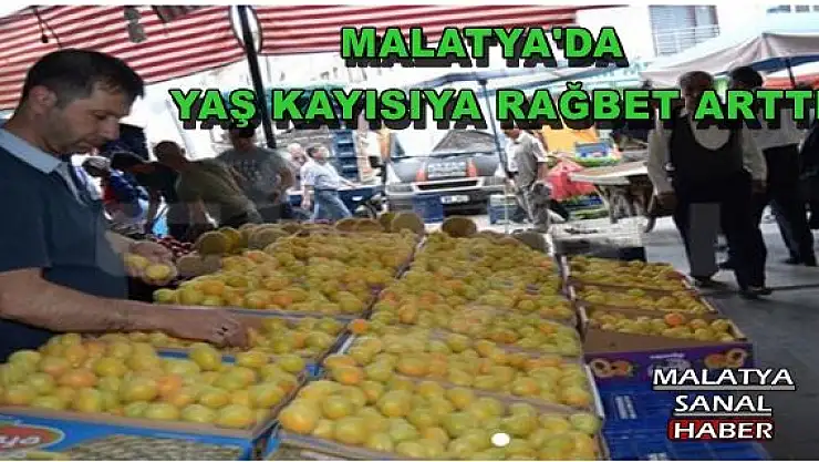 Malatya'da yaş kayısıya rağbet arttı