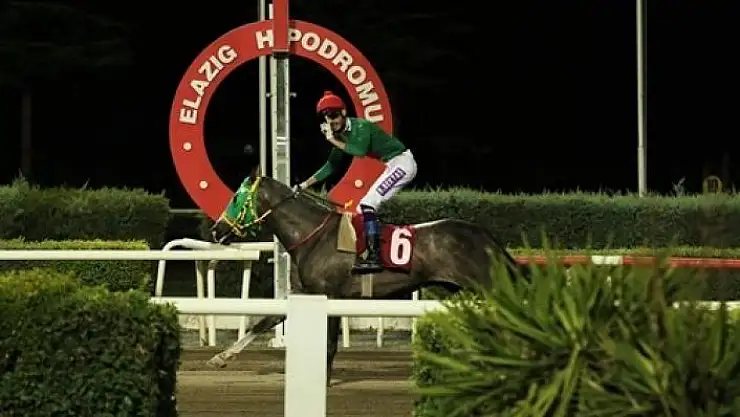 'Prof. Dr. Mustafa Temizer Koşusunda kazanan Göbeklitepe Ağası oldu'