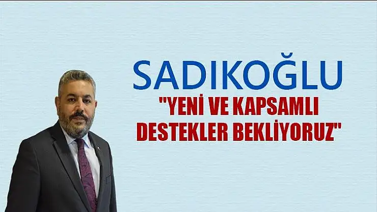Sadıkoğlu´ndan yeni destek talebi
