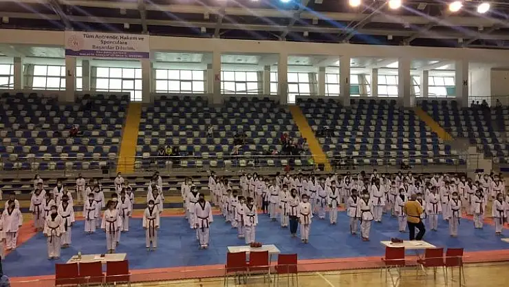 'Şahin´den olimpiyat övgüsü'