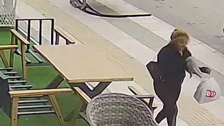 'Sahipli kediyi kucağına alıp kayıplara karıştı'