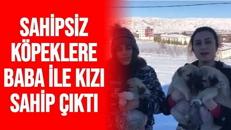 Sahipsiz köpeklere baba ile kızı sahip çıktı
