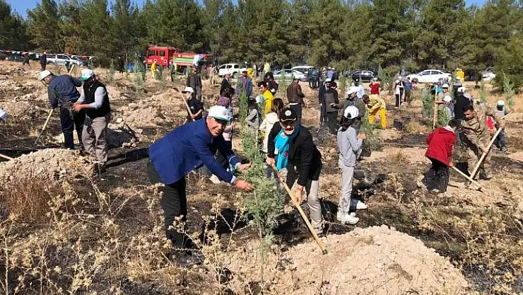 'Samsat´ta 2 bin 23 adet fidan toprakla buluştu'