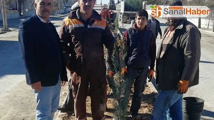 Samsat'ta refüjlerde ağaçlandırma çalışması