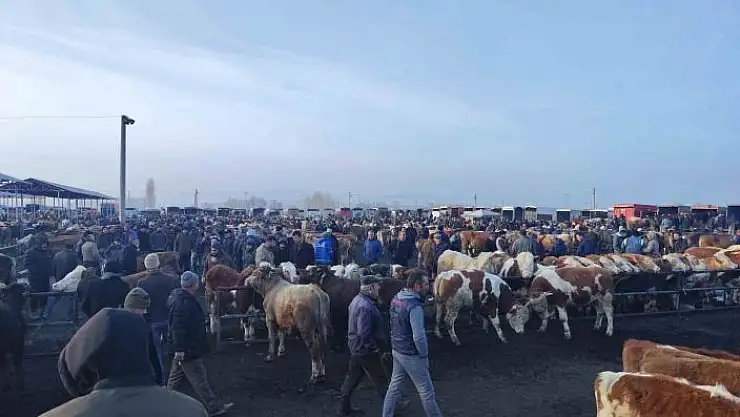 'Şap tehlikesiyle kapatılmıştı, açılmasına günler kaldı'