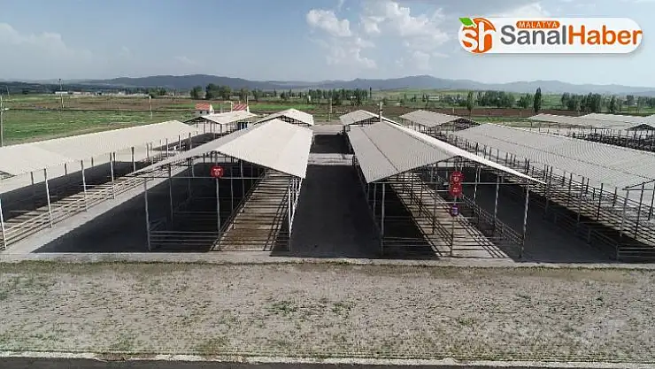 Şarkışla hayvan pazarı geçici olarak kapatıldı