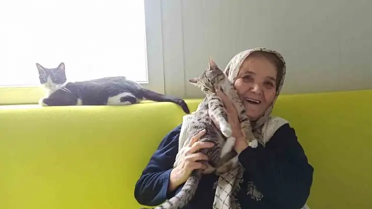 'Şaziye teyze konteyner evinde kedileriyle hayatını sürdürüyor'