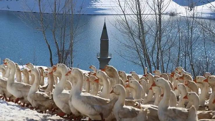 'Şehir hayatı bunalttı, huzuru köyünde buldu'