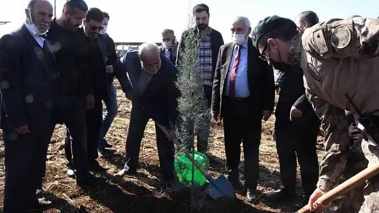 'Şehit Fatih Doğan adına hatıra ormanı oluşturuldu'