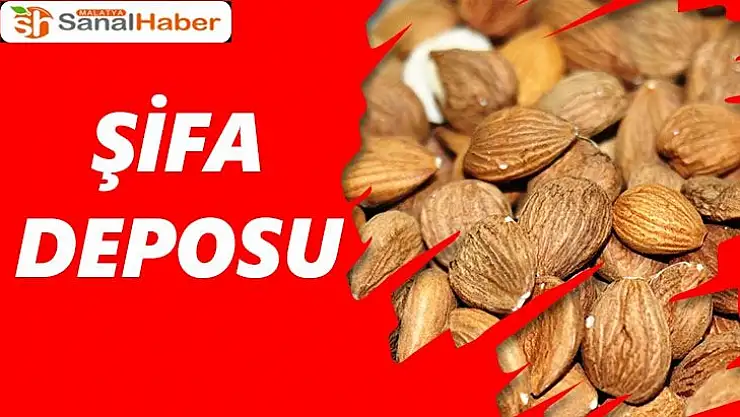 Malatya´nın altın meyvesi şifa deposu