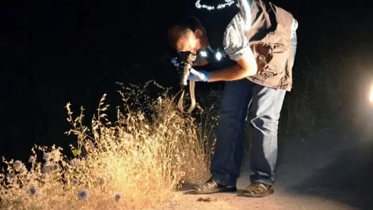 Malatya'da Silahlı Kavga