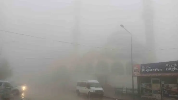 'Sincik ilçesinde yoğun sis etkili oldu'