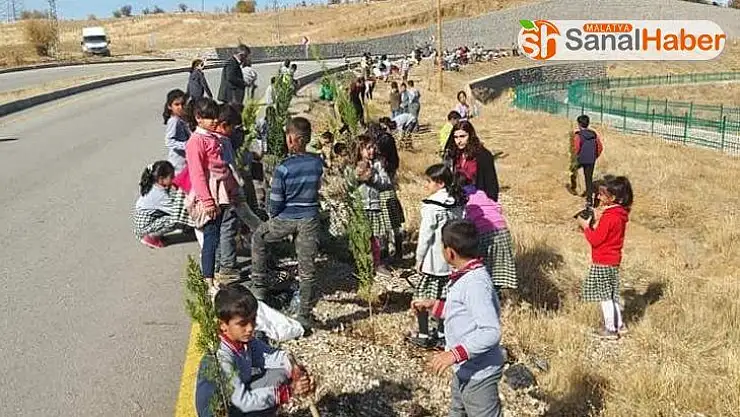 Sincik'te bin fidan toprakla buluştu