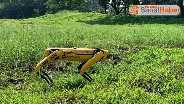 Singapur'dan koronaya karşı 'robot köpek' önlemi